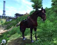 Plugin für Oblivon - für den Pferdenarren