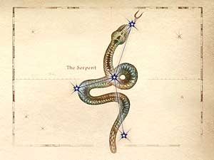 Oblivon Astrologie - Sternzeichen: Die Schlange