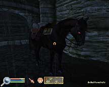 Oblivion, deine Belohnung Schattenstute